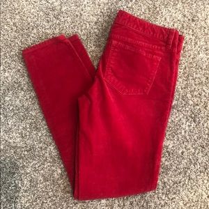J. Crew Christmas Cords!